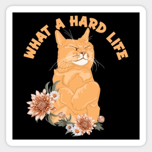 What A Hard Life Cat Daddy Cat Mom Cat Lovers Funny Cat Sticker